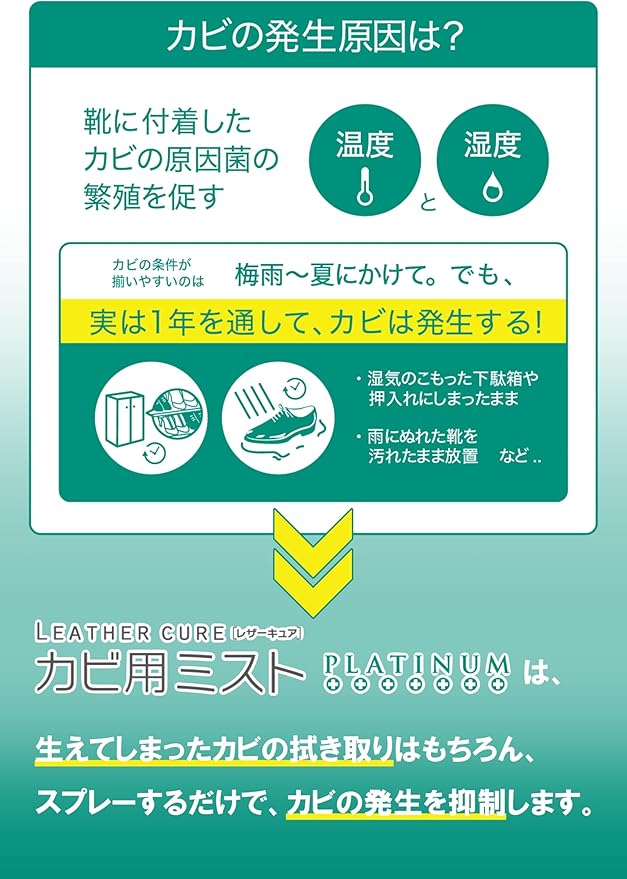 【コロンブス】皮革製品のカビ予防&除去